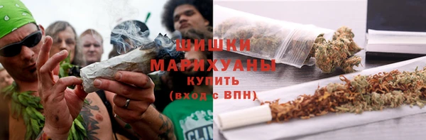 гашик Сосновый Бор