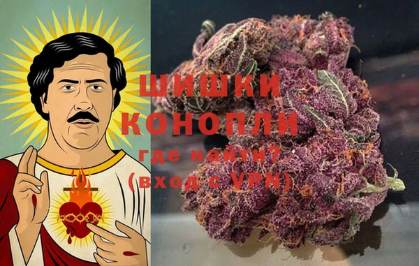 сатива Белоозёрский