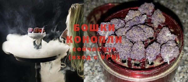 гашик Сосновый Бор