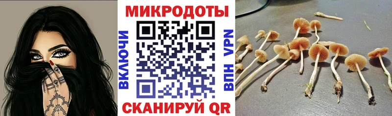 гидра ONION  Володарск  Псилоцибиновые грибы Cubensis 